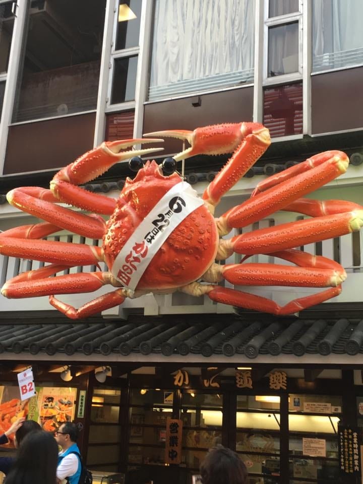 12.jpg 12.jpg