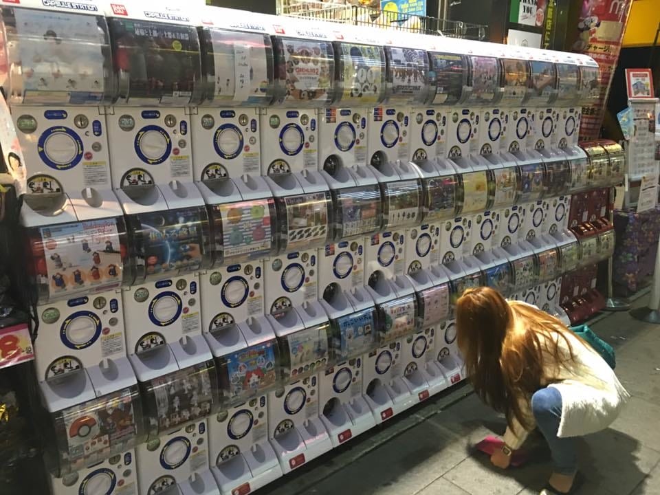 12.jpg 12.jpg