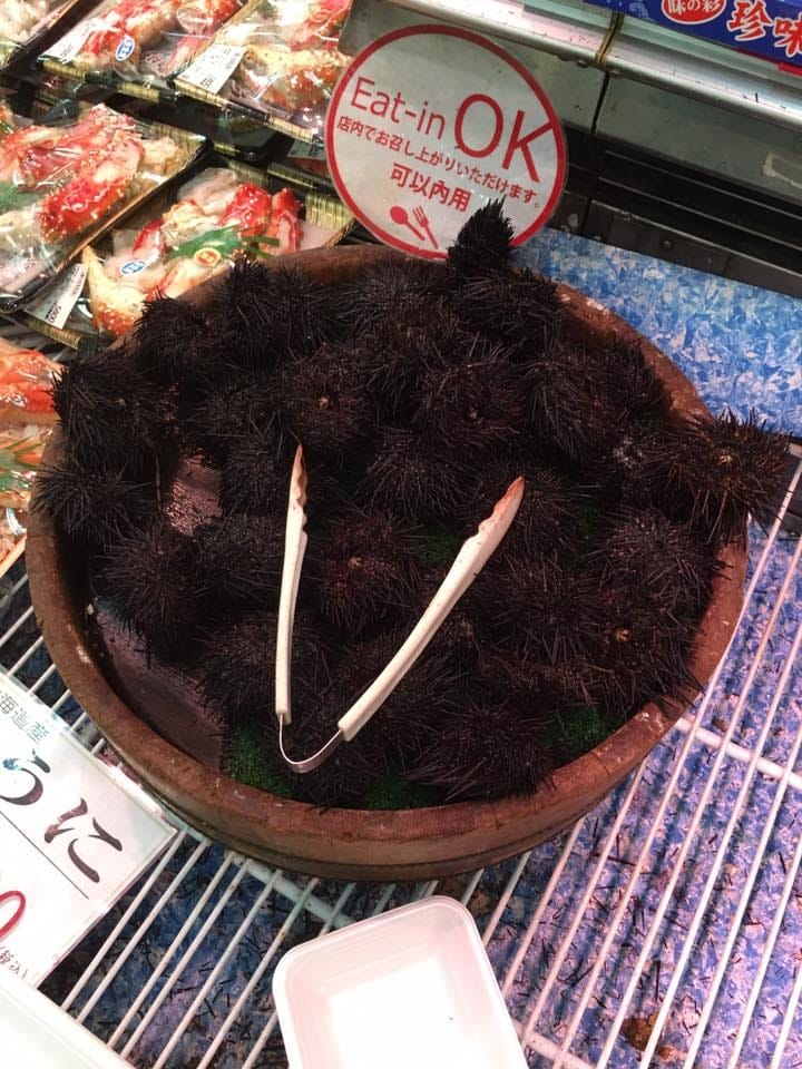 8.jpg 8.jpg