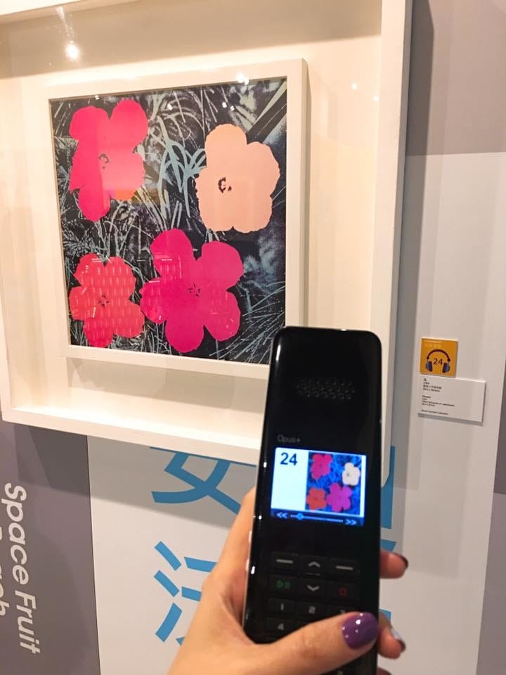 56883542_10217307971466672_5601716584776204288.jpg