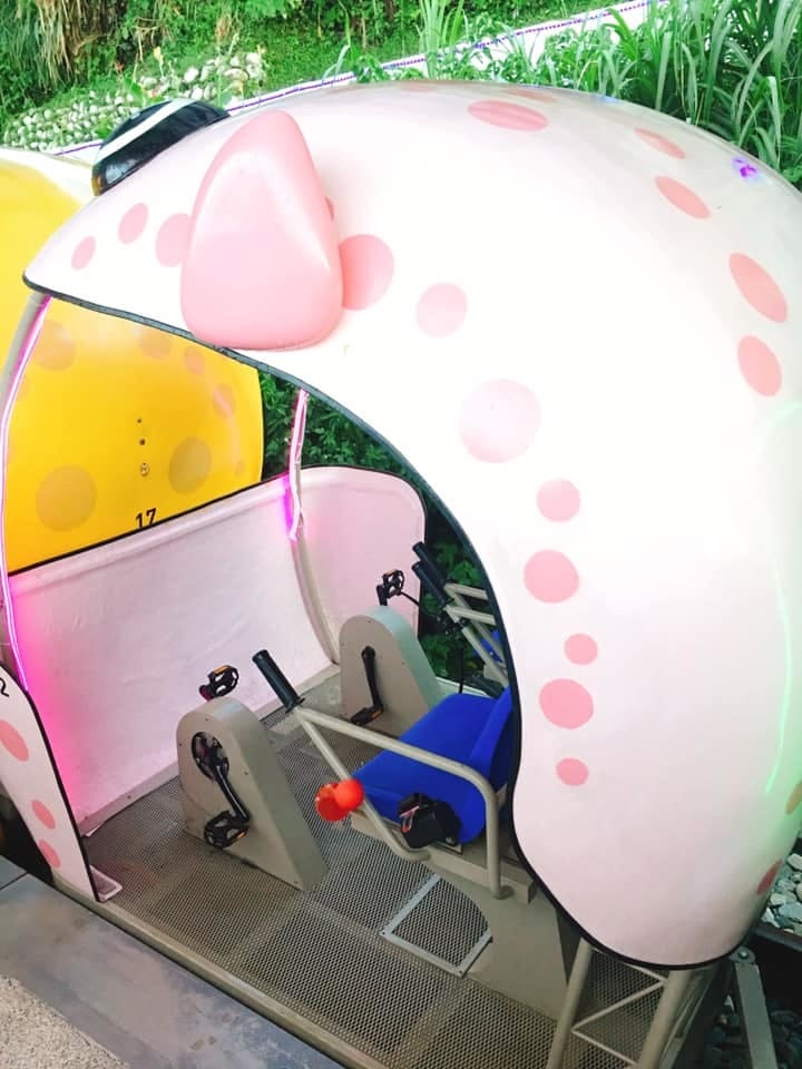 65785076_10217930018417457_1009505154954690560.jpg 65785076_10217930018417457_1009505154954690560.jpg
