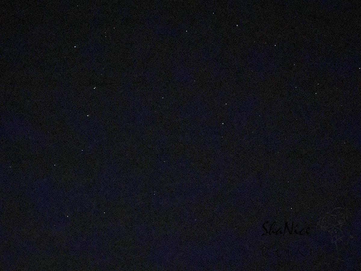 IMG_2342.JPG