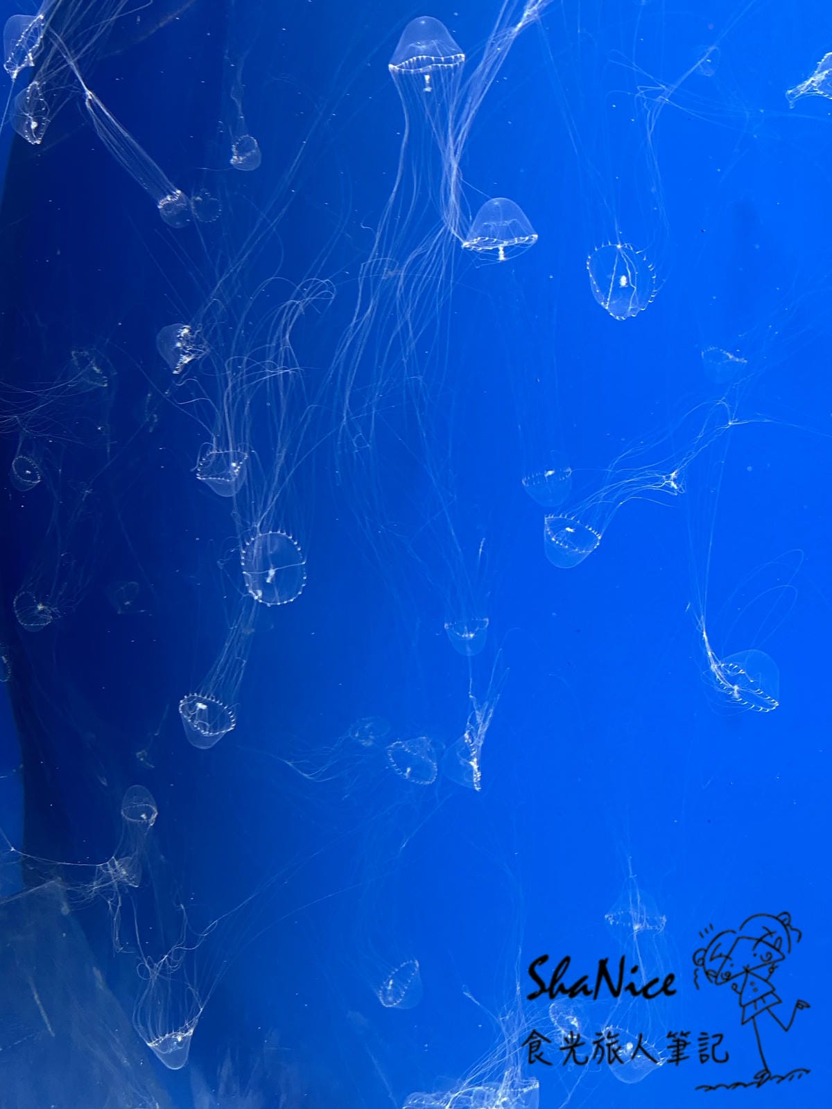 IMG_7177.JPG IMG_7177.JPG