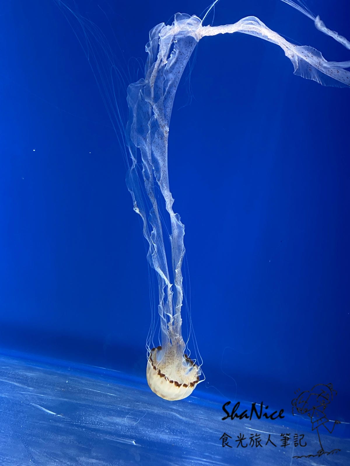 IMG_5612.JPG IMG_5612.JPG