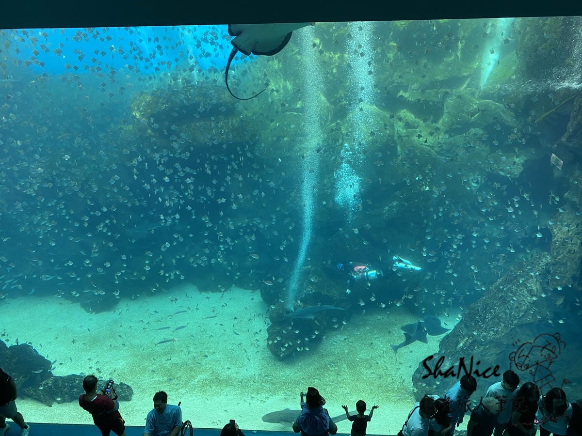 IMG_1295.JPG IMG_1295.JPG