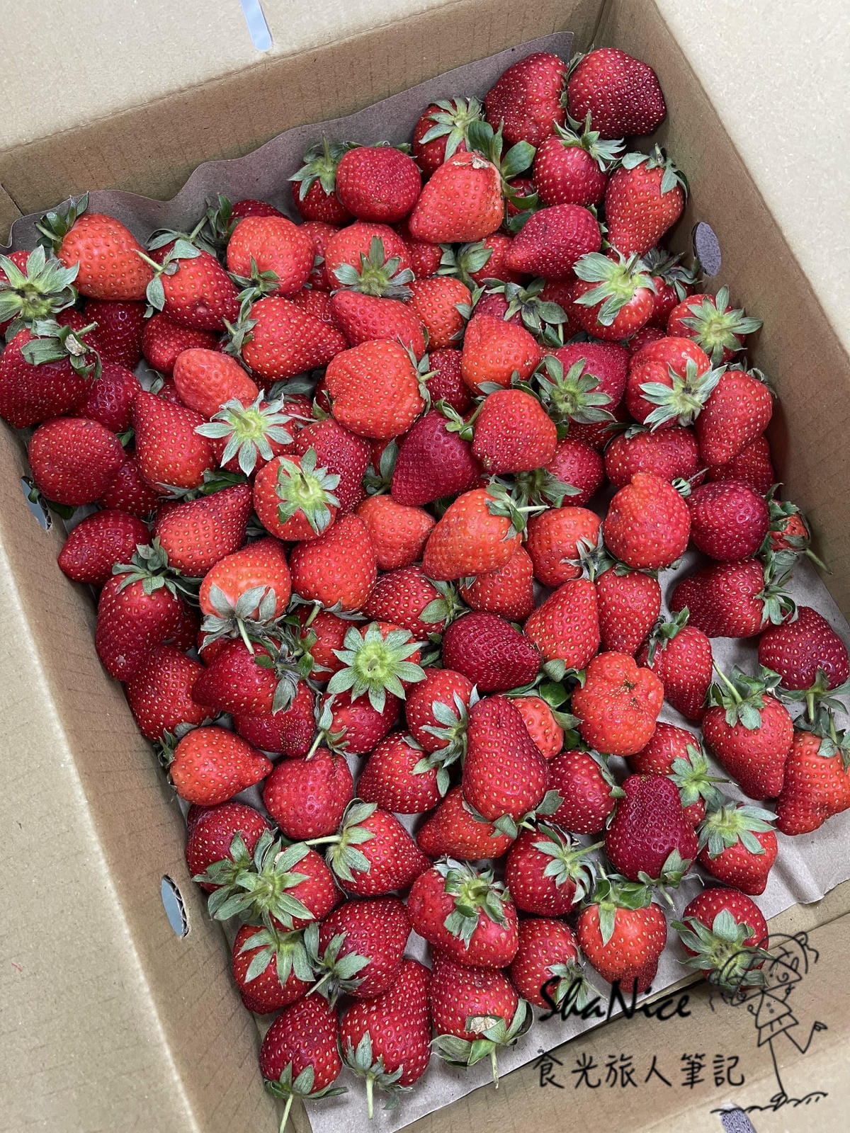 IMG_3214.JPG IMG_3214.JPG