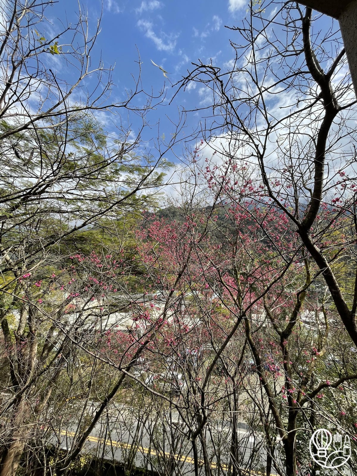 IMG_6835.JPG
