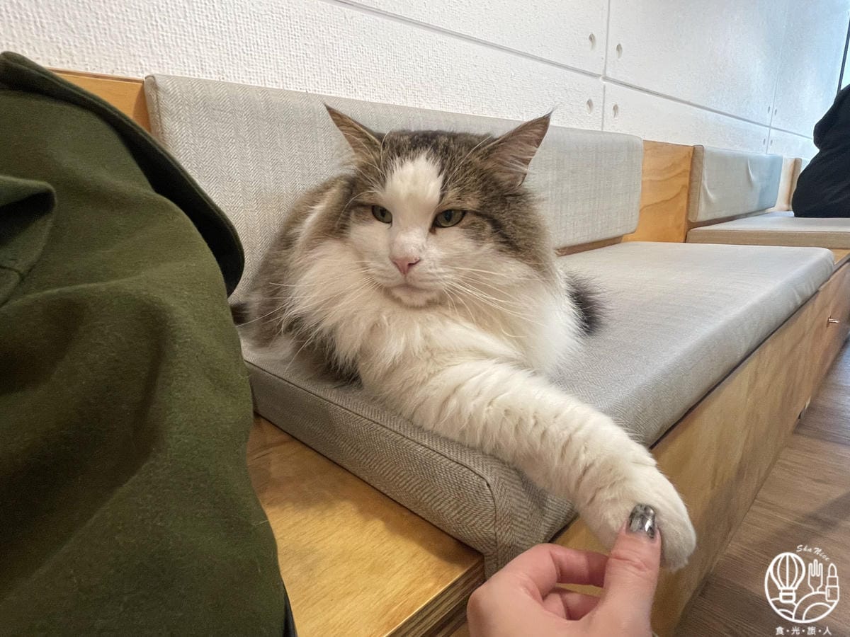 小春日和 動物雜貨 ・ 珈琲14.JPG 小春日和 動物雜貨 ・ 珈琲14.JPG
