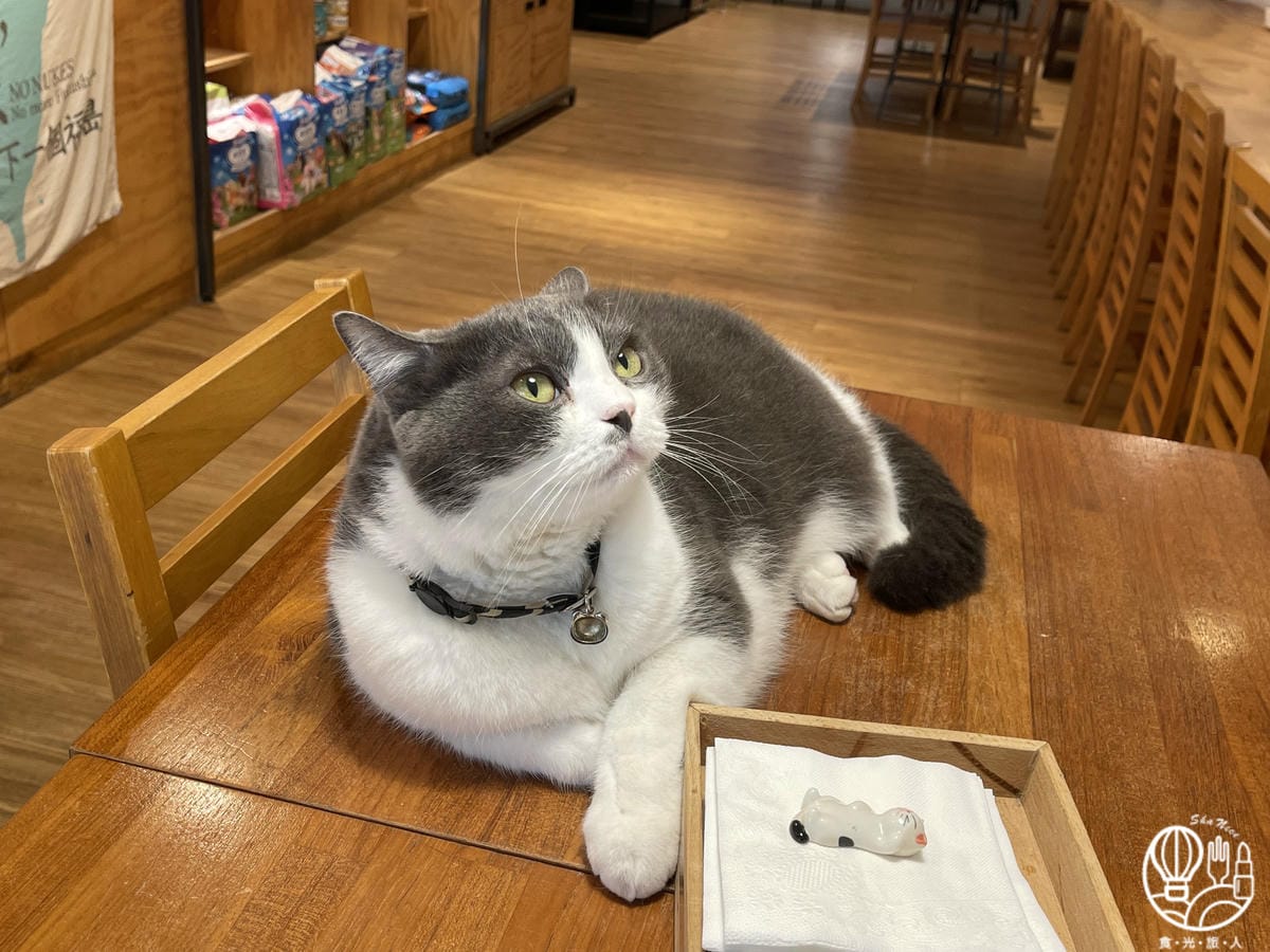 小春日和 動物雜貨 ・ 珈琲2.JPG 小春日和 動物雜貨 ・ 珈琲2.JPG