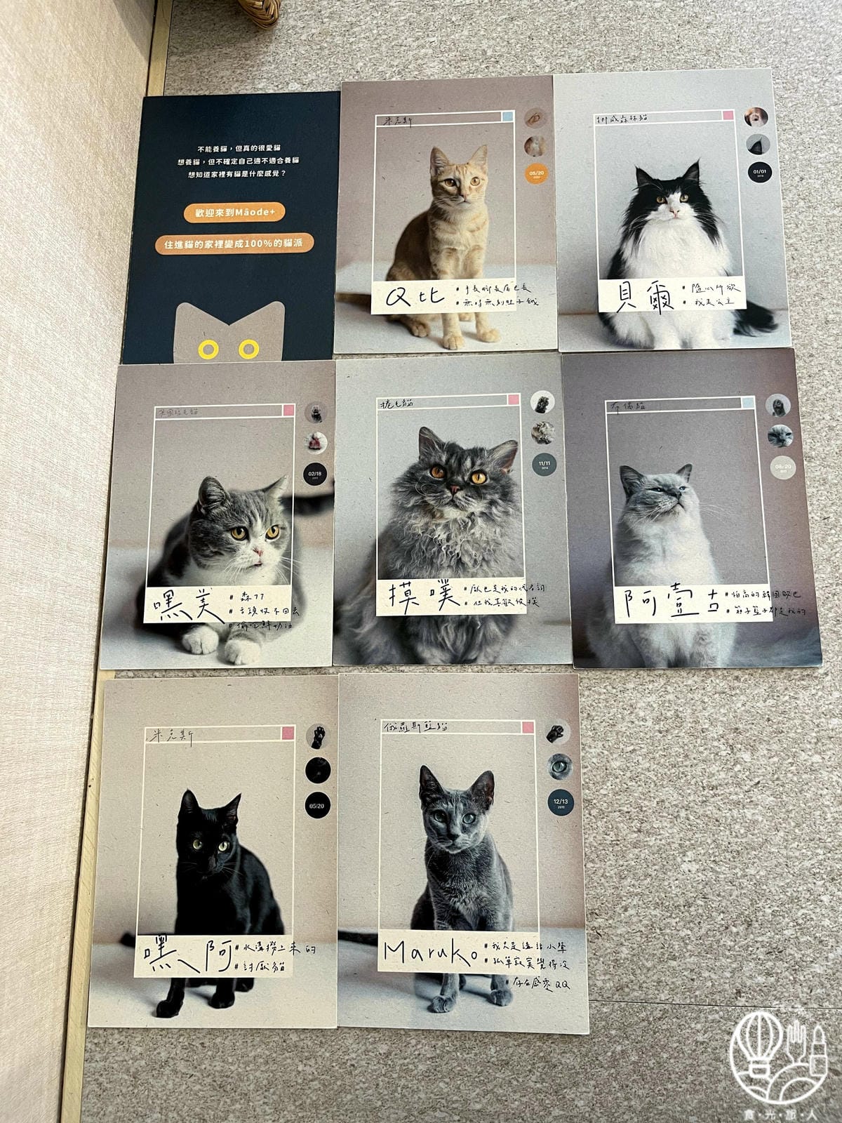 貓的生活提案11.jpg