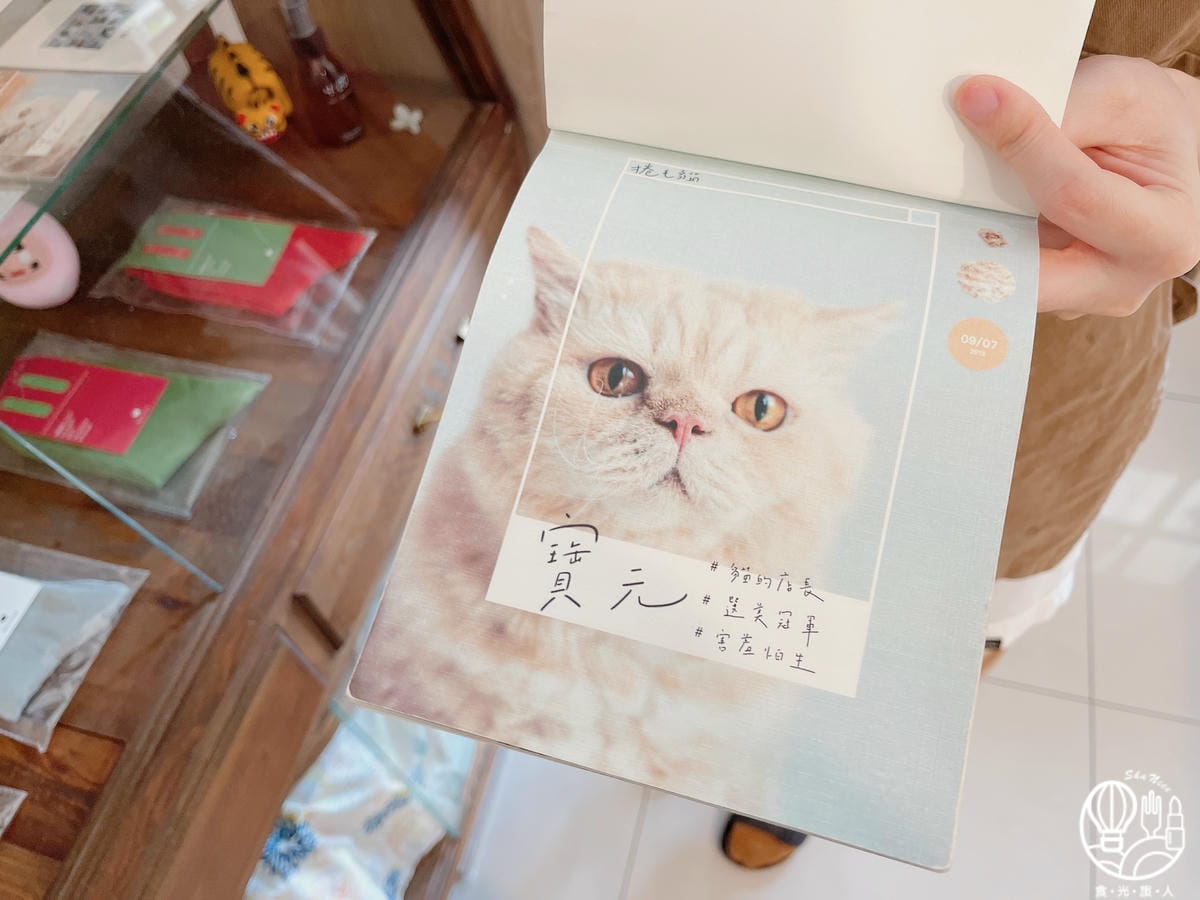 貓的生活提案7.JPG