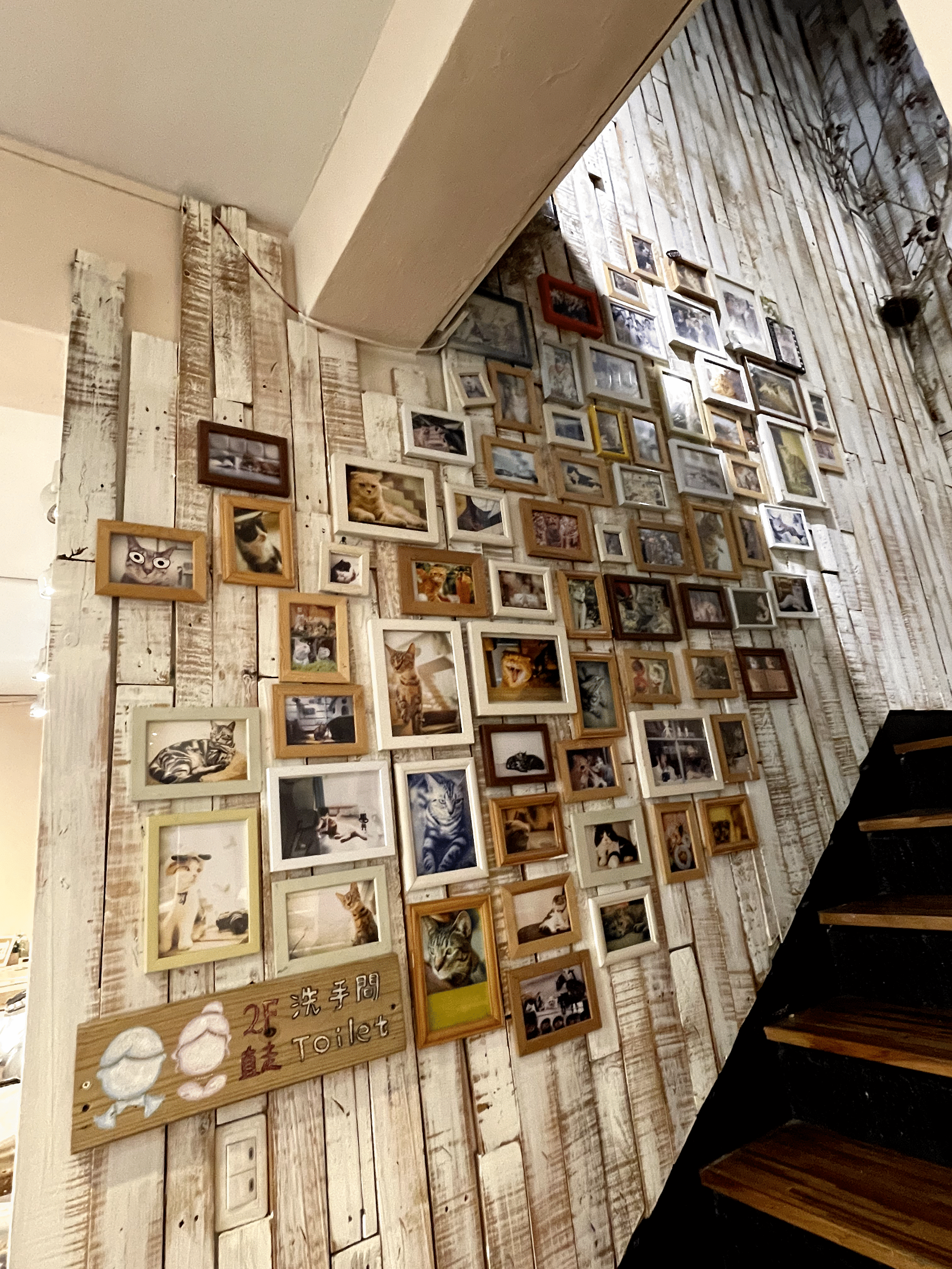 R-Star Coffee8.gif R-Star Coffee8.gif