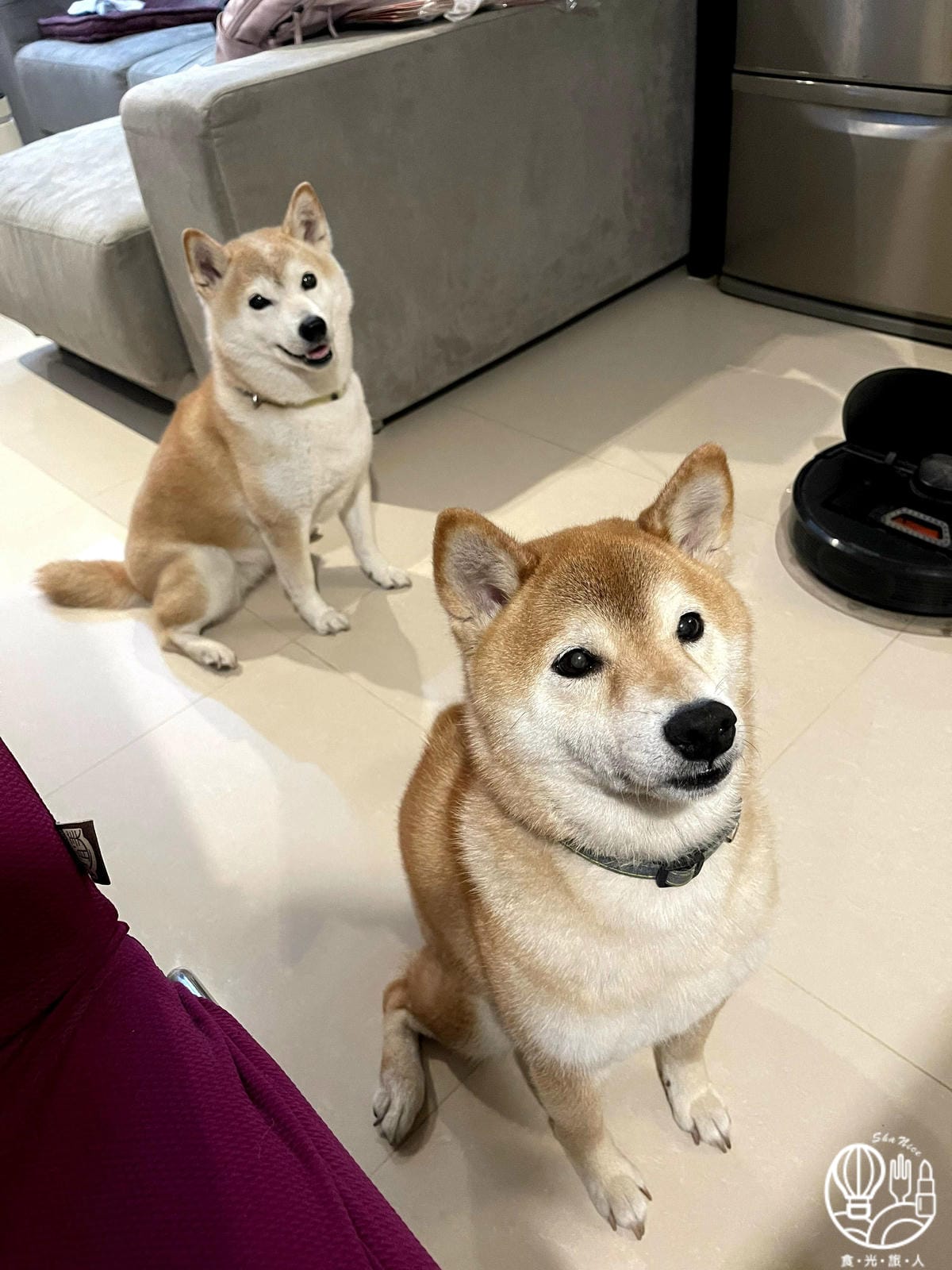 耐吉斯14.jpg
