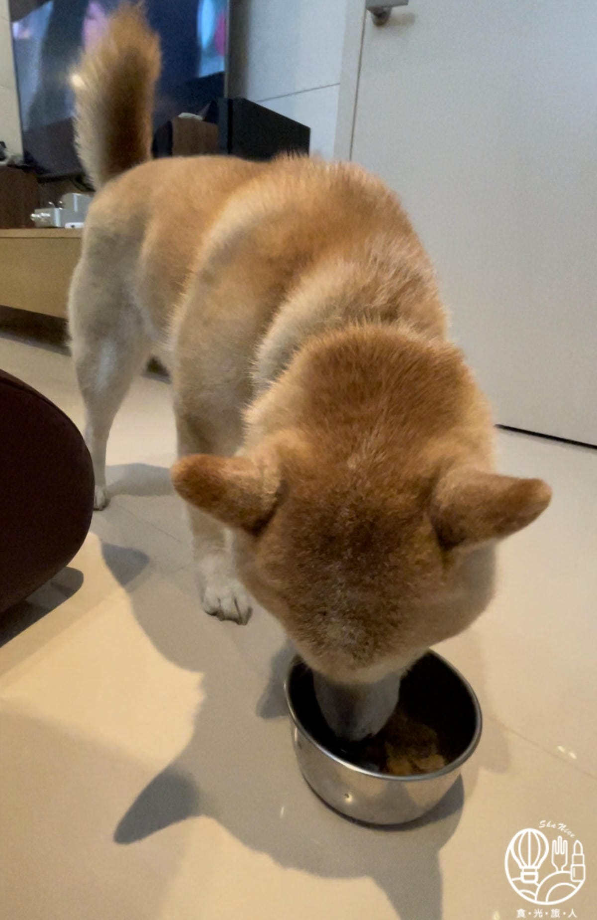 耐吉斯19.jpg