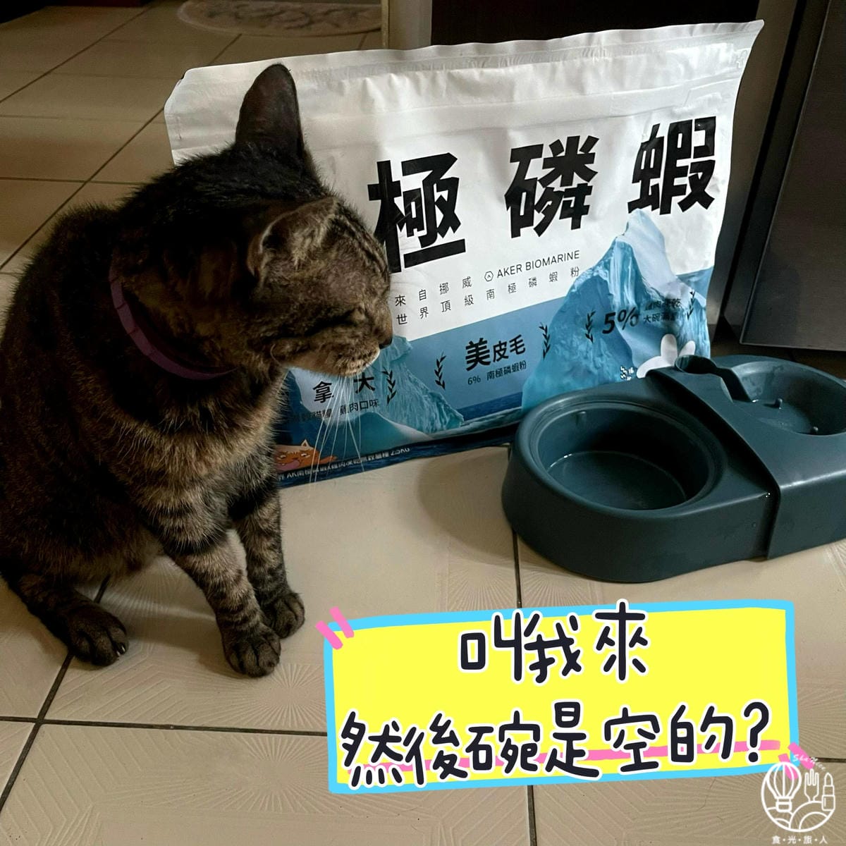 肉球世界|AK南極磷蝦X雞肉凍乾無穀貓糧10.jpg 肉球世界|AK南極磷蝦X雞肉凍乾無穀貓糧10.jpg