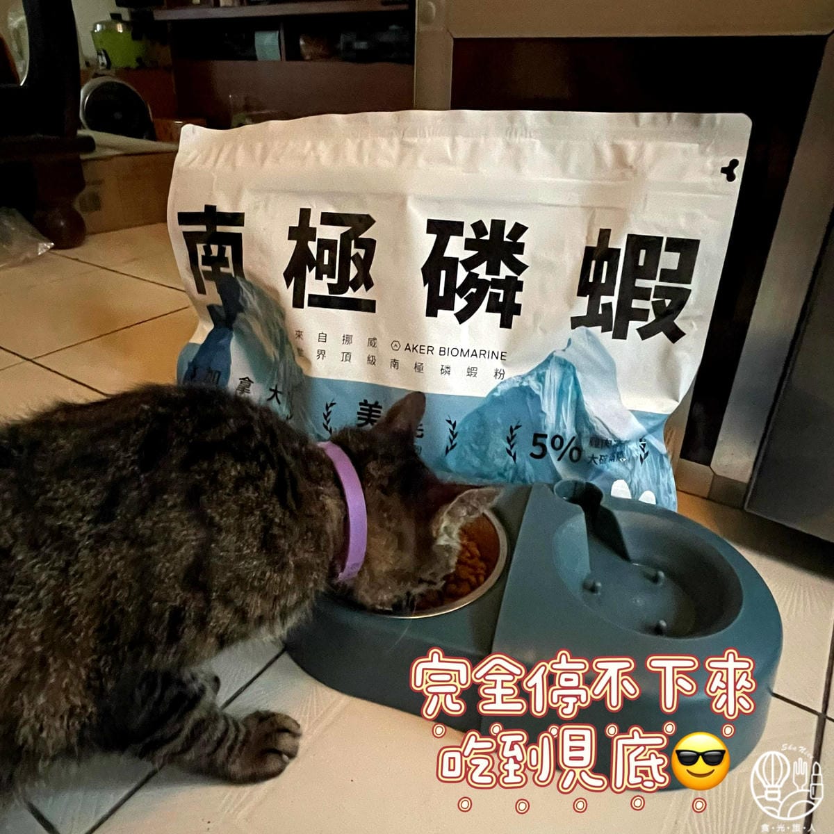 肉球世界|AK南極磷蝦X雞肉凍乾無穀貓糧12.jpg 肉球世界|AK南極磷蝦X雞肉凍乾無穀貓糧12.jpg