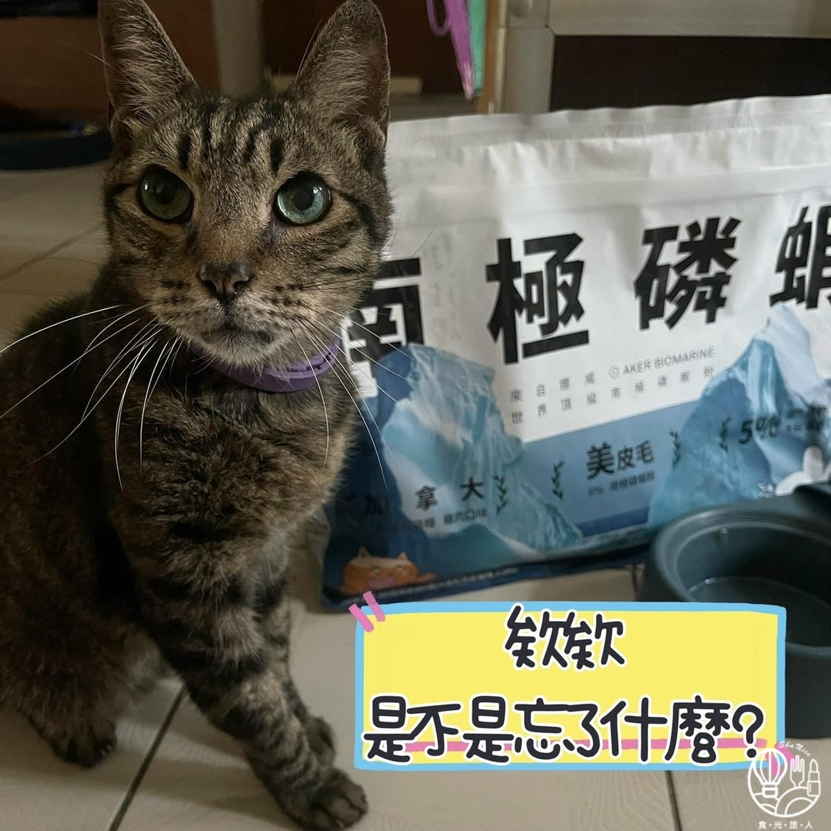 肉球世界|AK南極磷蝦X雞肉凍乾無穀貓糧13.jpg 肉球世界|AK南極磷蝦X雞肉凍乾無穀貓糧13.jpg