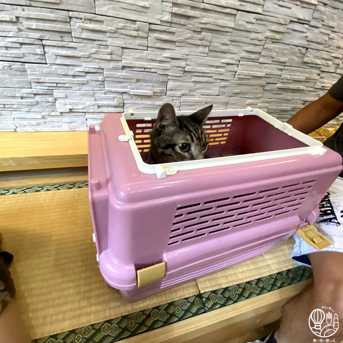 Holypet毛孩守護專家1.jpg Holypet毛孩守護專家1.jpg