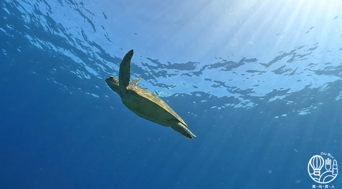 Goods Dive綠島潛水旅宿75.jpg