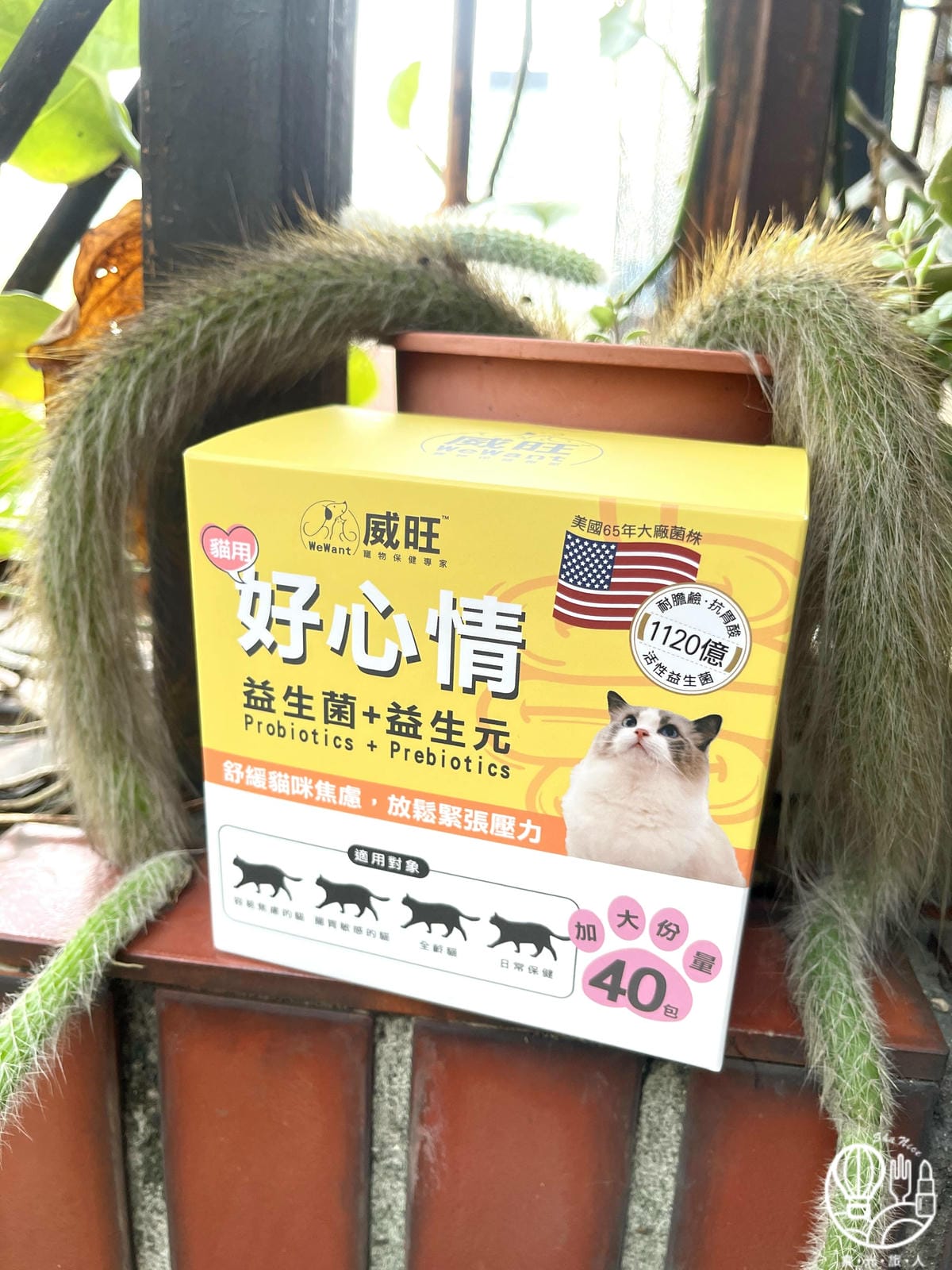 威旺|貓用好心情 益生菌+益生元1.jpg 威旺|貓用好心情 益生菌+益生元1.jpg