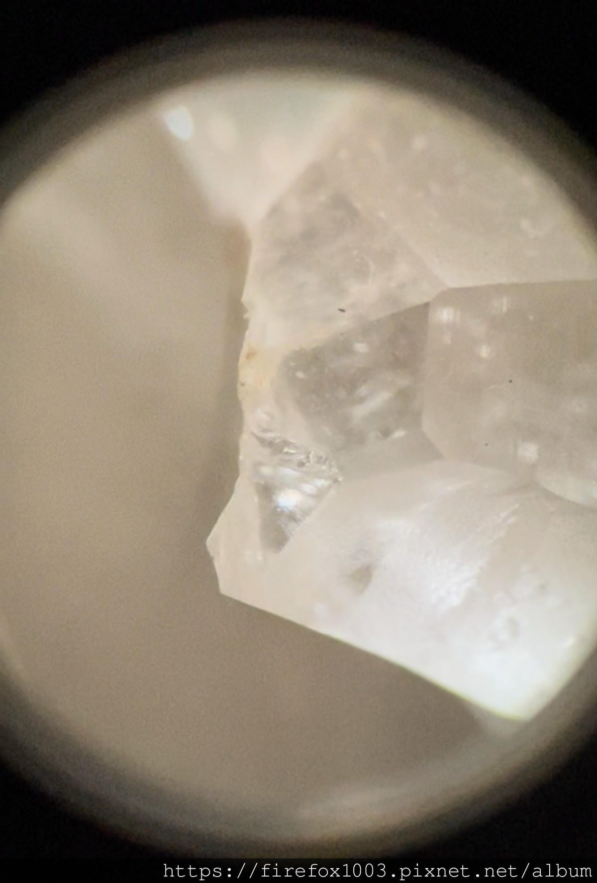 APEXEL 120倍的顯微鏡頭10.jpg APEXEL 120倍的顯微鏡頭10.jpg