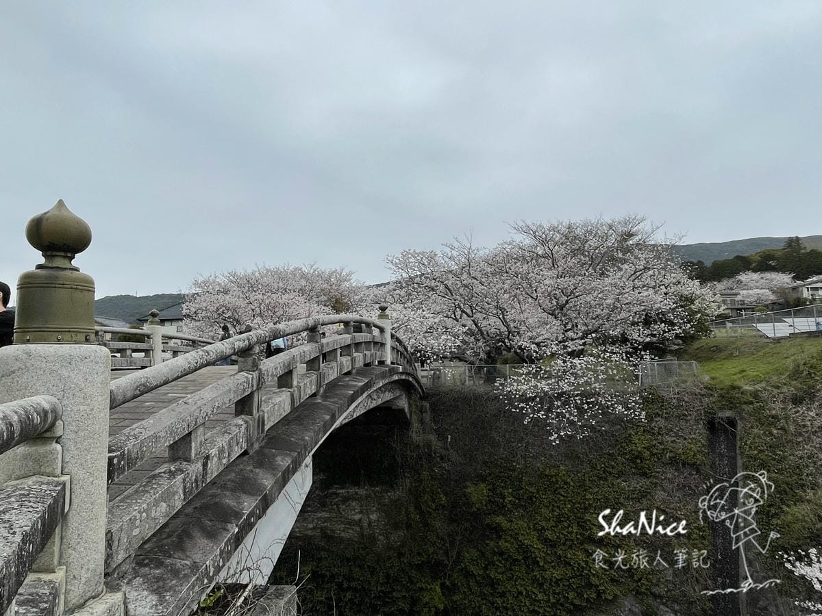 麗星郵輪探索星號六天五夜暢遊日本九州賞櫻趣239.jpeg