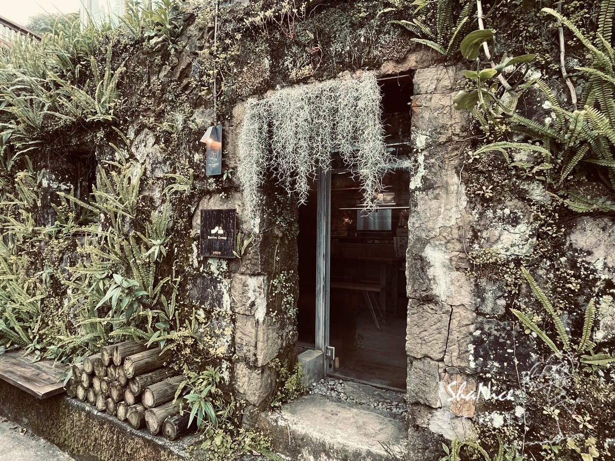 微光森林5.jpg